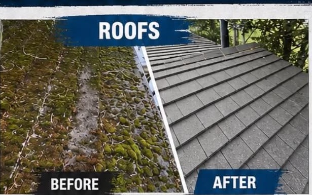 Roof before and after moss removal — tiles cleared of heavy moss growth